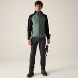Regatta Andreson Hybrid Isolationsjacke Herren dkfrstgr-blk Produktbild 4
