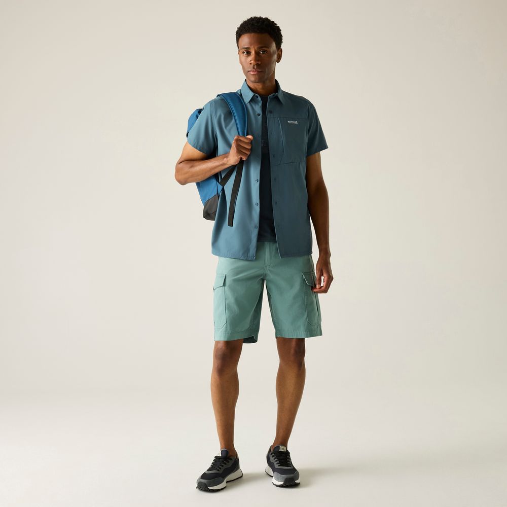Regatta Anti Insect Travel Light Shirt Herren china-blue Produktbild 5