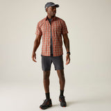 Regatta Begarno T-Shirt Herren brick-check Produktbild 5