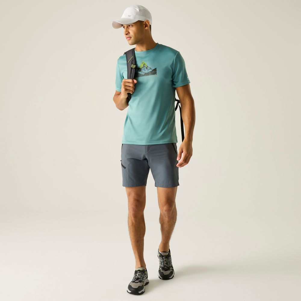 Regatta Fingal Funktionsshirt Herren arctic Produktbild 5