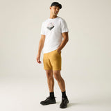 Regatta Fingal Funktionsshirt Herren weiß Produktbild 3