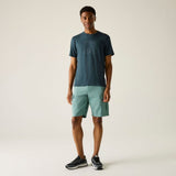 Regatta Fingal Stretch T-Shirt Herren night-sky Produktbild 5