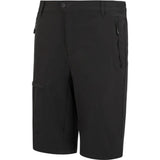 Regatta Highton II lange Wandershorts für Herren ash Produktbild 2