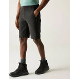 Regatta Highton II lange Wandershorts für Herren ash Produktbild 3