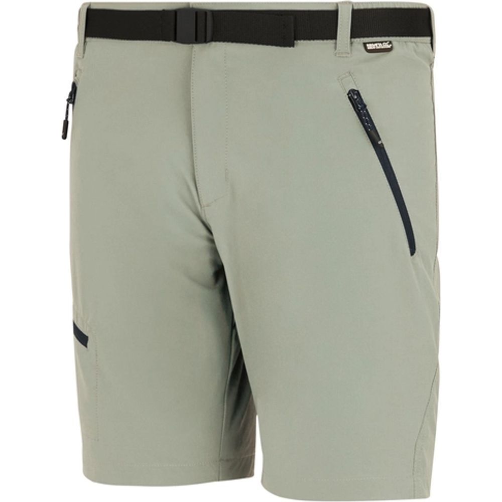 Regatta Xert Stretch Shorts Herren abbeystone Produktbild 2