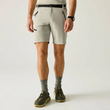 Regatta Xert Stretch Shorts Herren abbeystone Produktbild 4