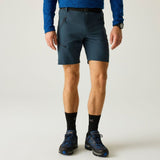 Regatta Xert Stretch Shorts Short Herren night-sky Produktbild 3