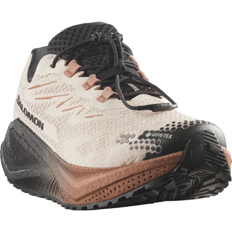 Salomon Aero Blaze 4 Grvl GTX W Damen Trailrunningschuh vanilla ice/black/burro Produktbild 1