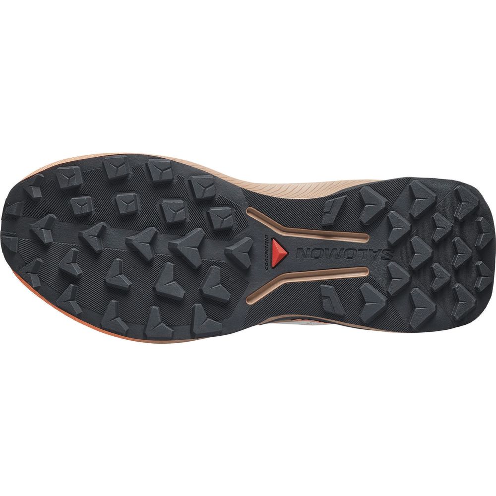 Salomon Genesis 2 GTX Damen Wanderschuh rainy-day-desert-tan-nectarine Produktbild 3