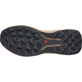 Salomon Genesis 2 GTX Damen Wanderschuh rainy-day-desert-tan-nectarine Produktbild 3