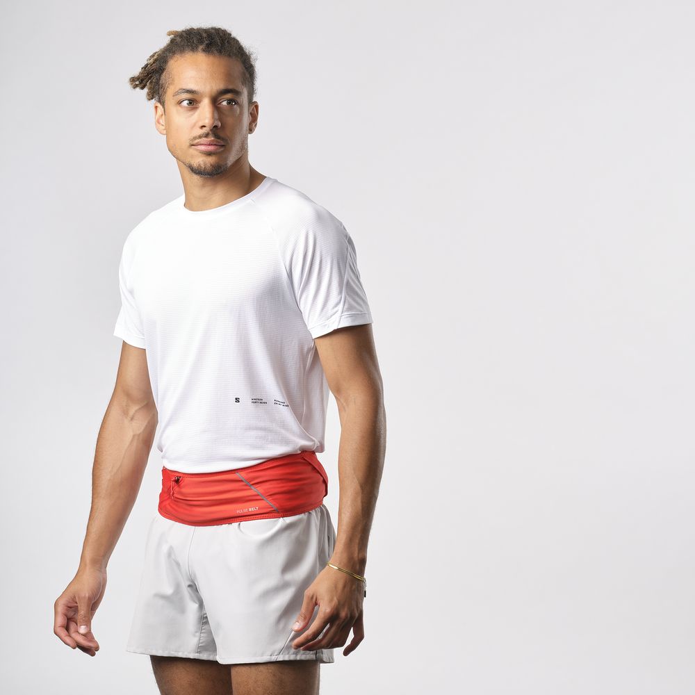 Salomon Pulse Hüftgurt high-risk-red Produktbild 2