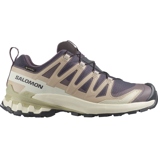 Salomon Shoe XA Pro 3D V9 GTX Damen Trailrunningschuh nine iron oxford tan alfalfa Produktbild 0