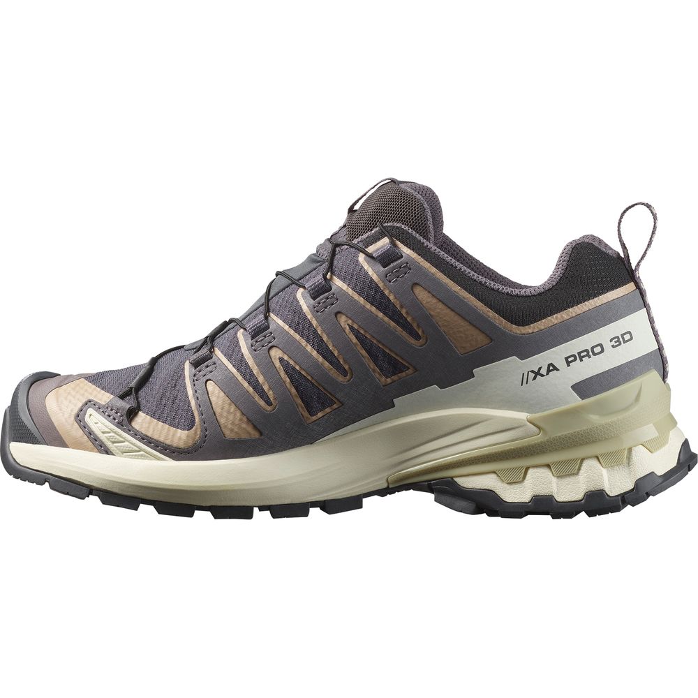 Salomon Shoe XA Pro 3D V9 GTX Damen Trailrunningschuh nine iron oxford tan alfalfa Produktbild 1