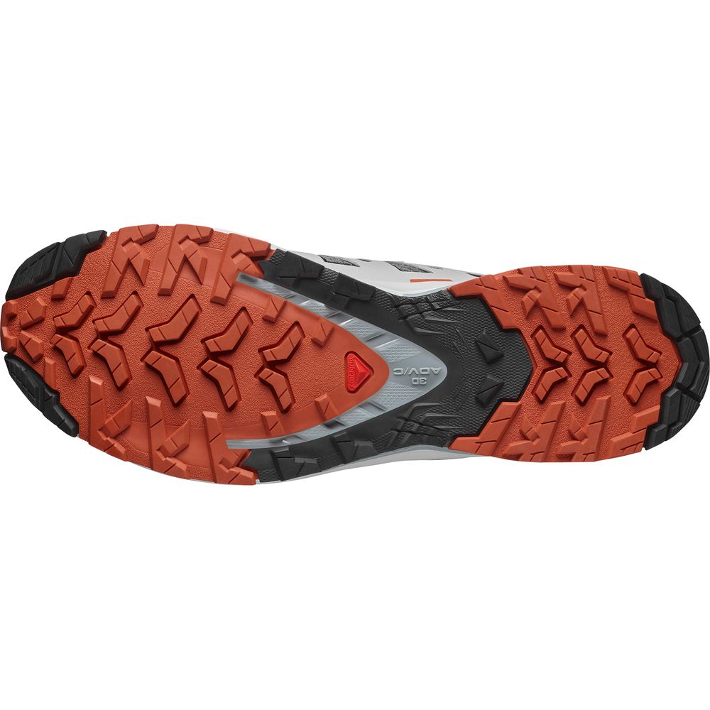 Salomon Shoe XA Pro 3D V9 Herren Trailrunningschuh castlerock black burnt ochre Produktbild 4