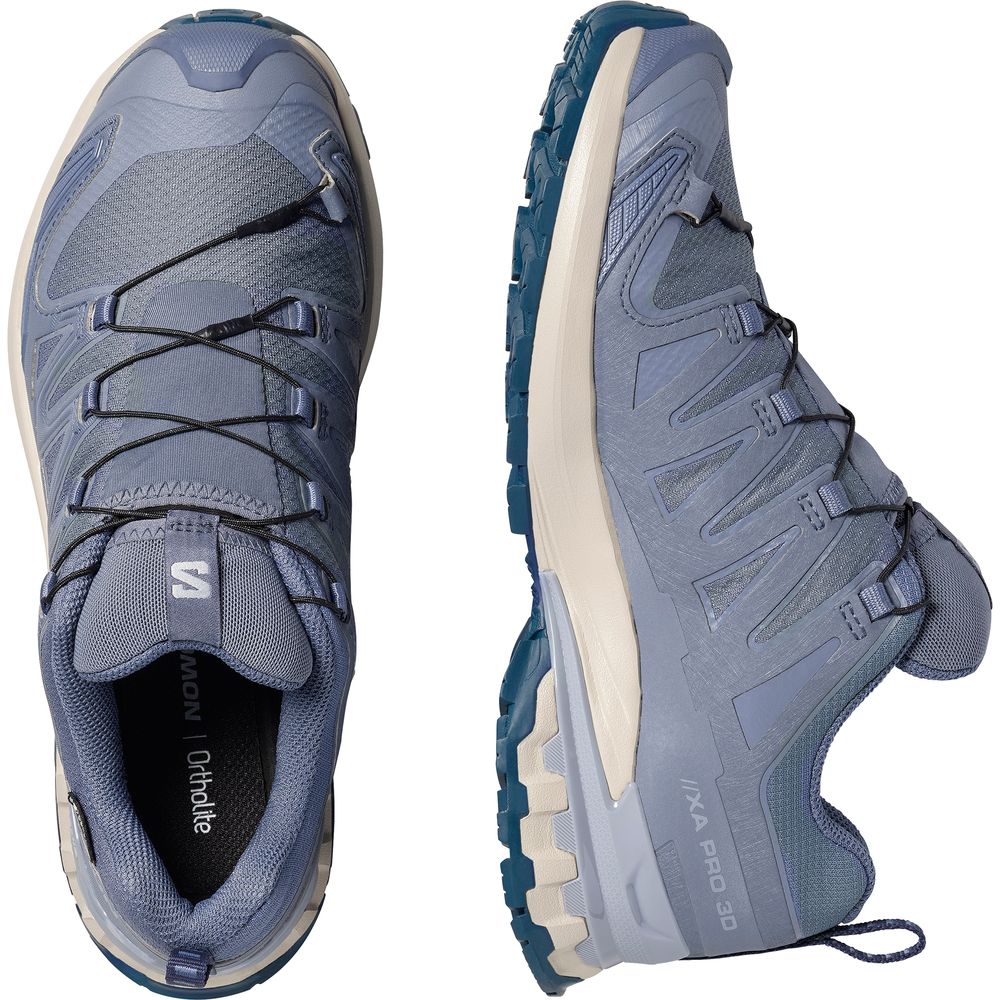 Salomon Shoes XA Pro 3D V9 GTX Damen Trailrunningschuh grisaille-tradewinds-spellbound Produktbild 5