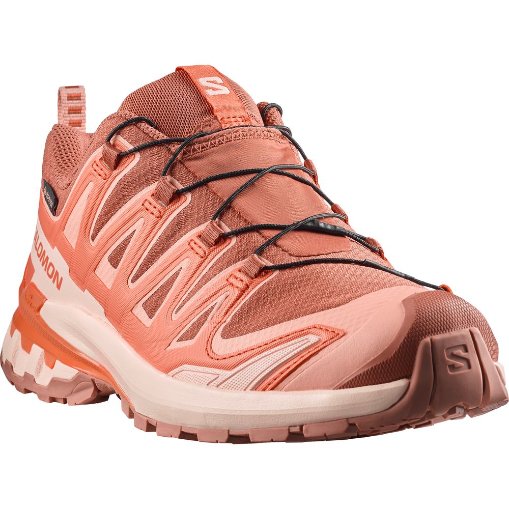 Salomon Shoes XA Pro 3D V9 GTX Damen Trailrunningschuh pecan-brown-nectarine-almond-cream Produktbild 1