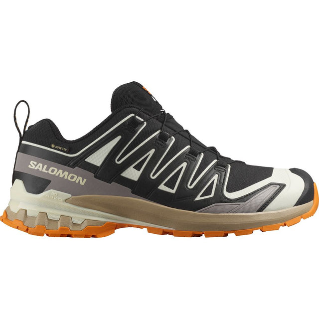 Salomon Shoes XA Pro 3D V9 GTX Herren Trailrunningschuh black vanilla ice turmeric Produktbild 0