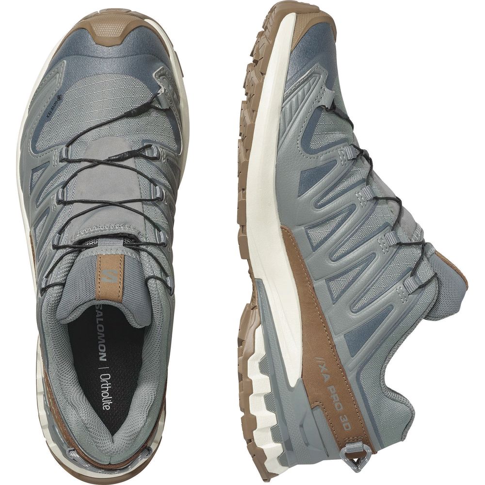 Salomon Shoes Xa Pro 3D V9 GTX Lifelong Herren Trailrunningschuh sedona sage/coyote brown/vanilla ic Produktbild 5