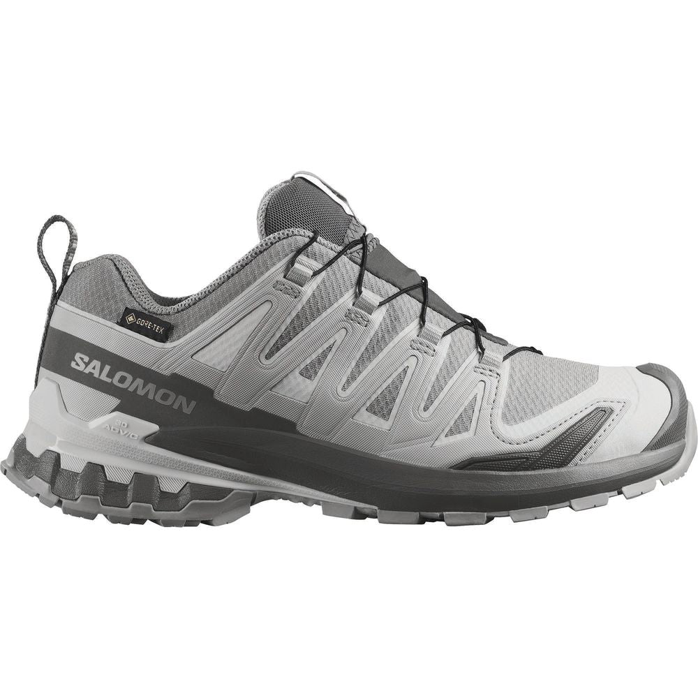 Salomon Shoes Xa Pro 3D V9 GTX W Trailrunningschuh Damen alloy/castlerock/lunar rock Produktbild 0