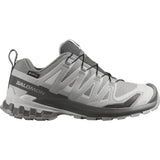 Salomon Shoes Xa Pro 3D V9 GTX W Trailrunningschuh Damen alloy/castlerock/lunar rock Produktbild 0