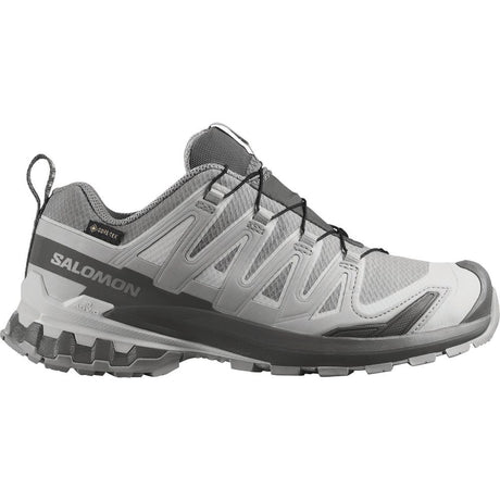 Salomon Shoes Xa Pro 3D V9 GTX W Trailrunningschuh Damen alloy/castlerock/lunar rock Produktbild 0