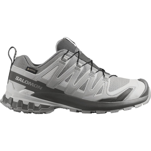 Salomon Shoes Xa Pro 3D V9 GTX W Trailrunningschuh Damen alloy/castlerock/lunar rock Produktbild 0