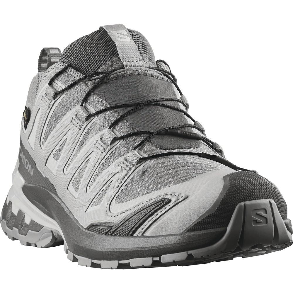 Salomon Shoes Xa Pro 3D V9 GTX W Trailrunningschuh Damen alloy/castlerock/lunar rock Produktbild 1