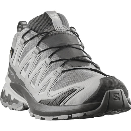 Salomon Shoes Xa Pro 3D V9 GTX W Trailrunningschuh Damen alloy/castlerock/lunar rock Produktbild 1