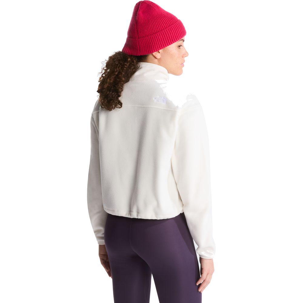 The North Face Novelty Logo Glacier 1/4 Zip Damen Fleecejacke white-dune Produktbild 3